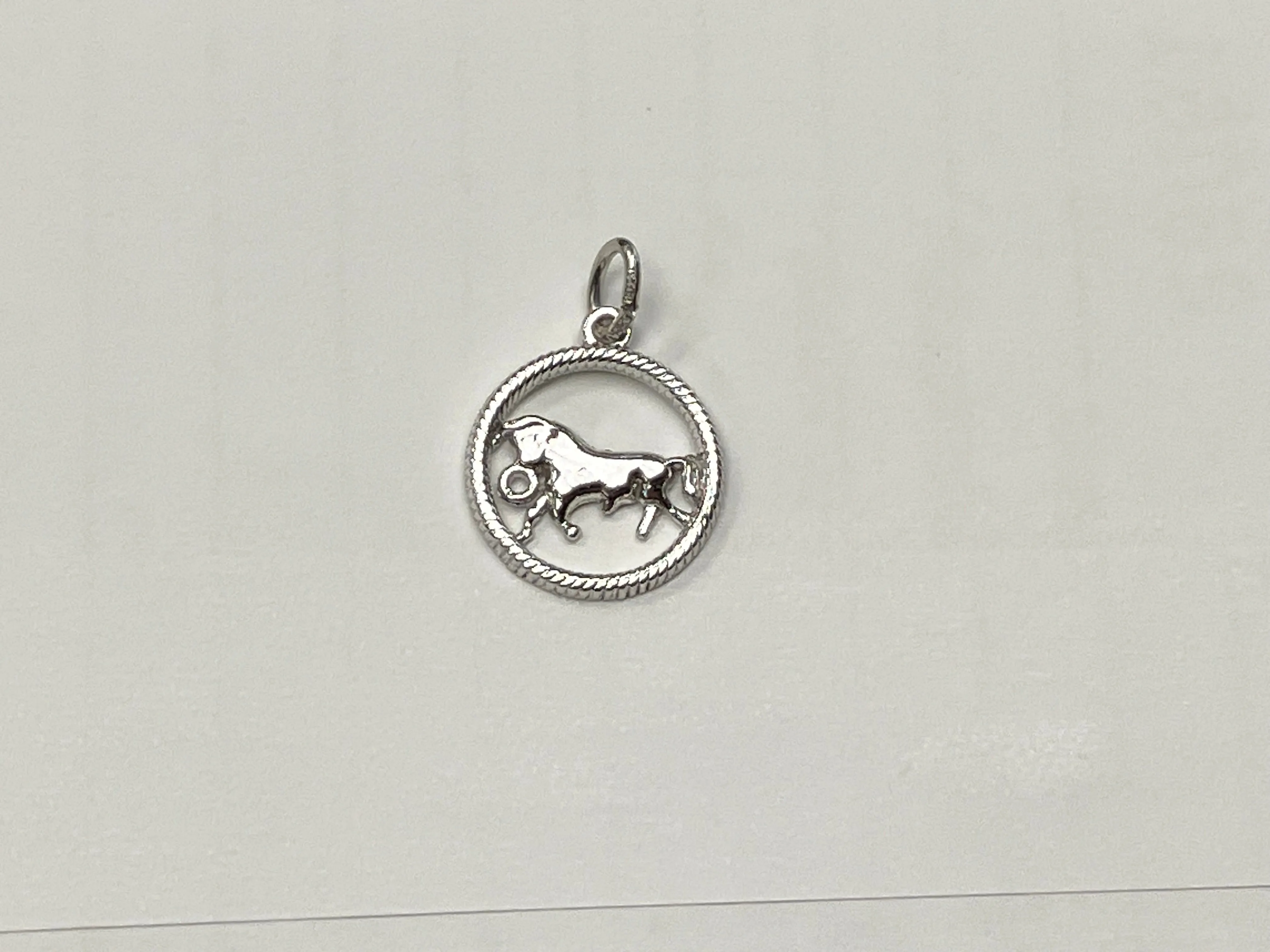 Taurus Silver Charm